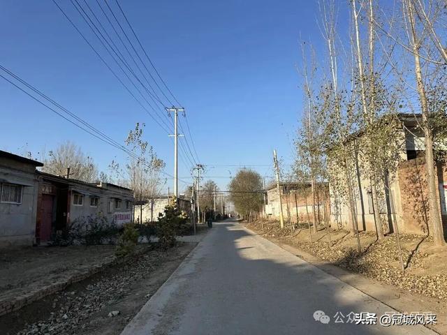 冠县乡韵·贾镇荆楼村