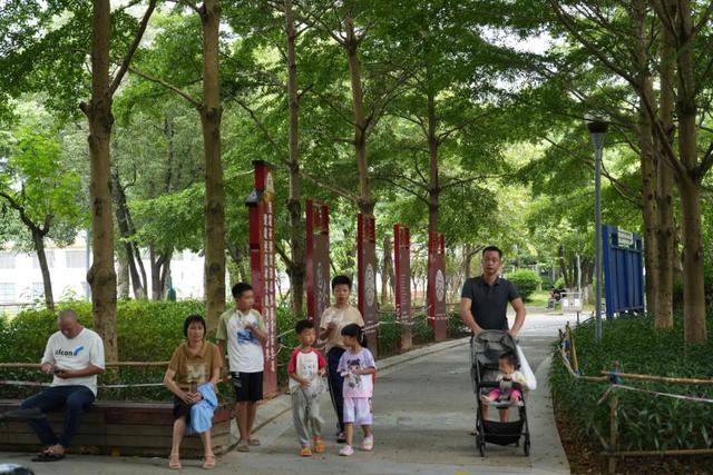 怀集这座公园,承包了群众的日常欢喜!