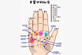 手掌中的秘密，收藏起来看看，仅供娱乐图片