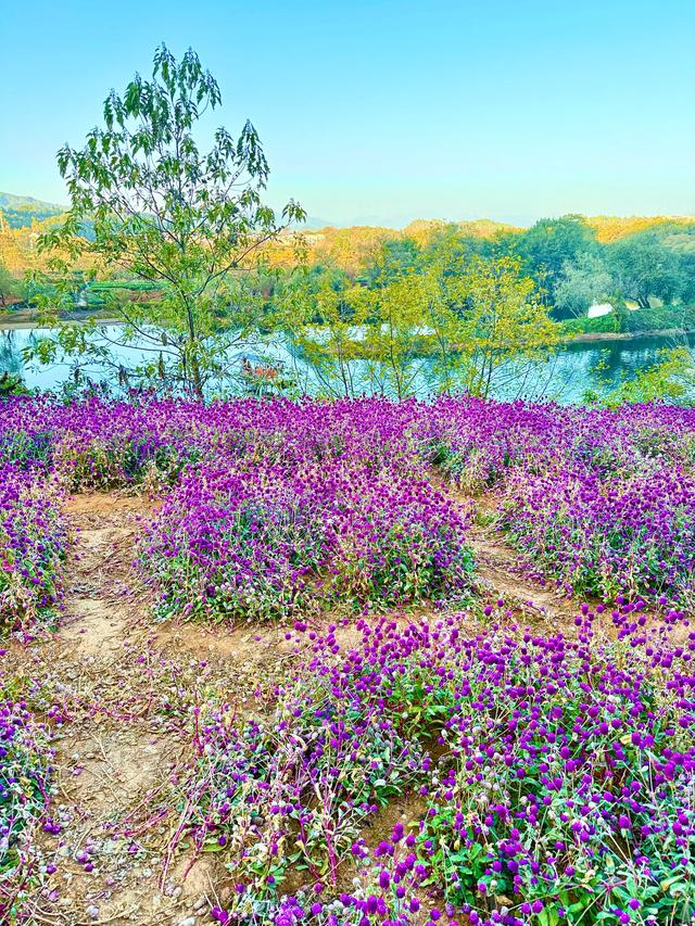 婺里古乡（上饶市婺源县）