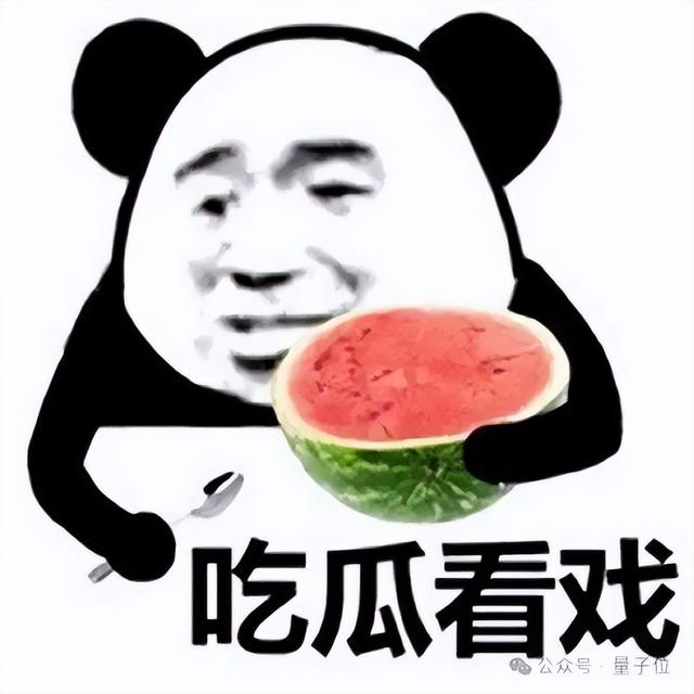DiT突遭怒喷，谢赛宁淡定回应