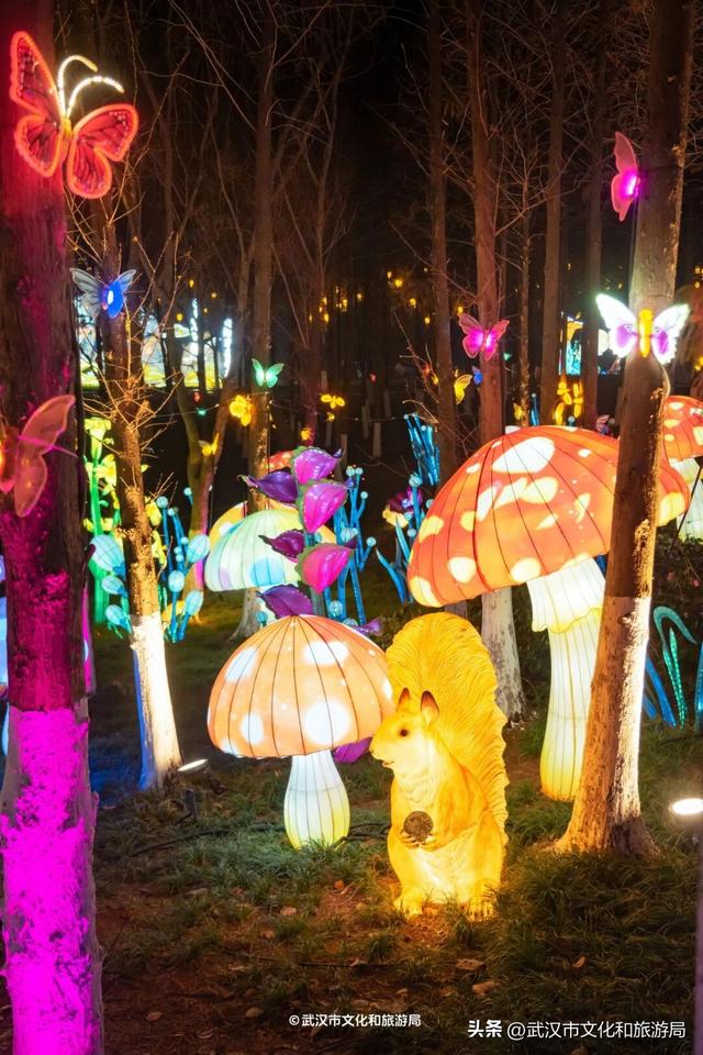 武汉最大发财树，三层楼高，明天亮！