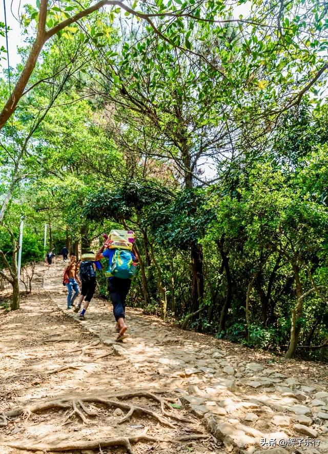 广东汕头澄海莲花山鸟语花香,徒步赏景做公益的热门地