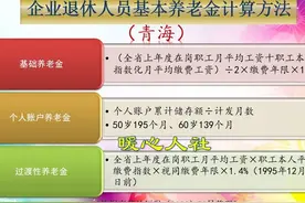 青海省2024年灵活就业人员缴费13958.4元，20年后养老金领多少？图片