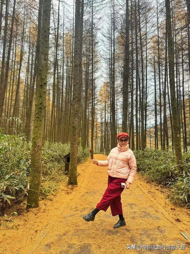 光雾山秋色斑斓，迎来23届光雾山国际红叶节