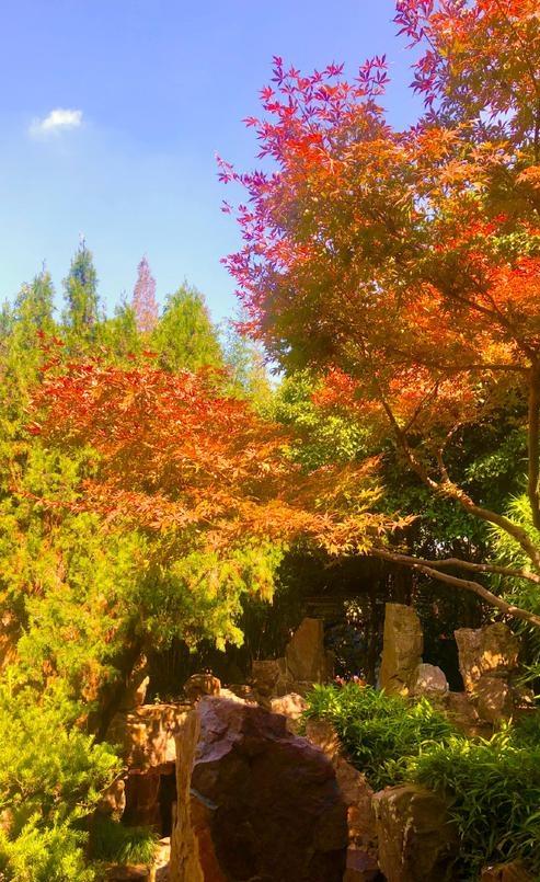 扬州冬始，园林私语