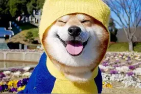 10个笑死人的幽默笑话，让你瞬间笑出腹肌图片