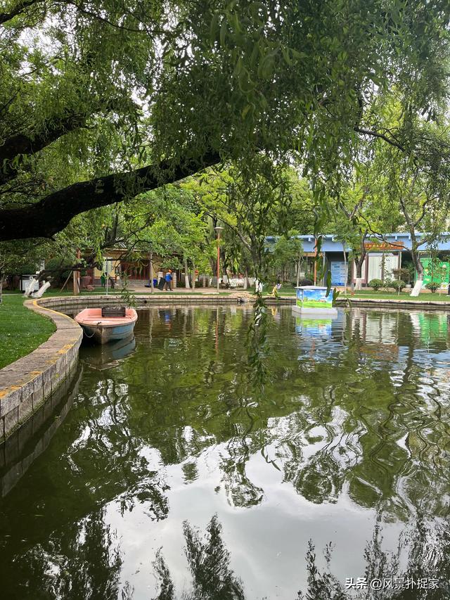 昆明翠湖公园，生态绿洲！