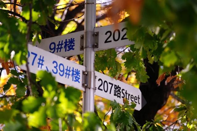 秋之彩色吉林 | 中国一汽绝美秋景已上线！