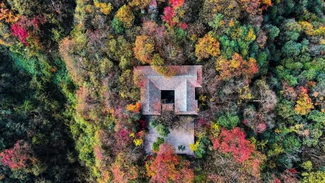 当你用《疯狂动物城》的视角打开恩施
