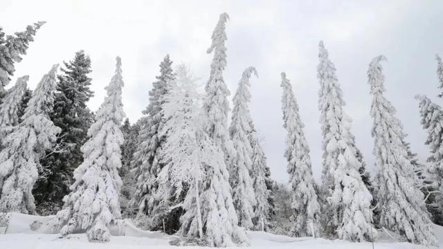 热“雪”以待！坪坝营嬉雪乐园抢先剧透​