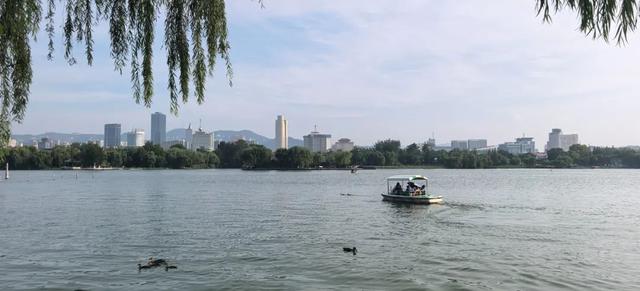 济南游记：一个外地人眼中的“三大名胜”