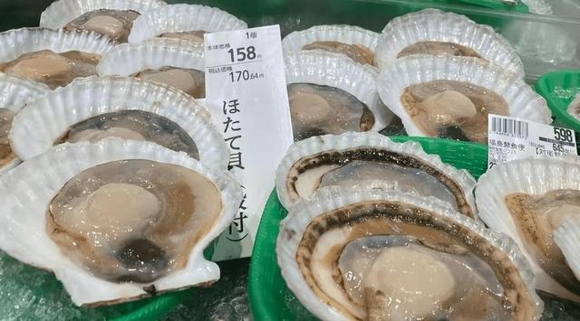 6吨扇贝刚卖中国12天，日本首相一句话，871亿水产品市场再关门