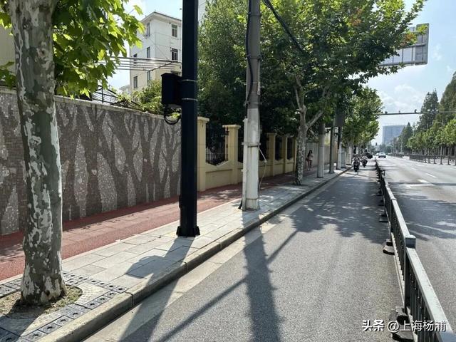 来杨浦“轧马路”！这条Citywalk路线藏不住了
