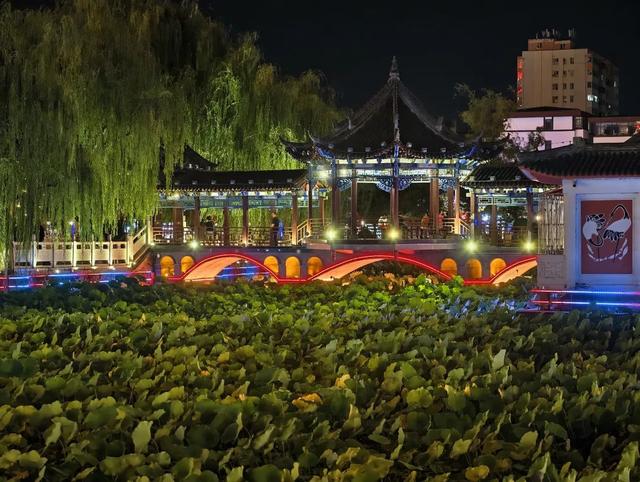 月满青泥河，灯候远方客——成县双节夜游全攻略
