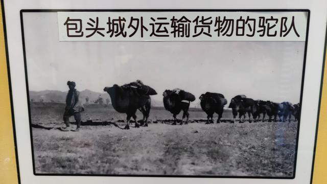 包头天下黄河第一村，靠着黄河边，风景还是不错的