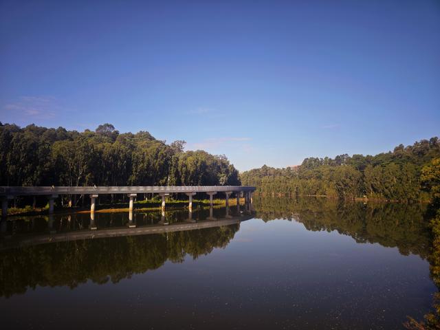 龙华新“骑”点，奔向2026骑行随拍1129