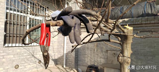 趁着火焰的放肆与热情