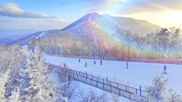 大雪已至 龙江皆雪趣