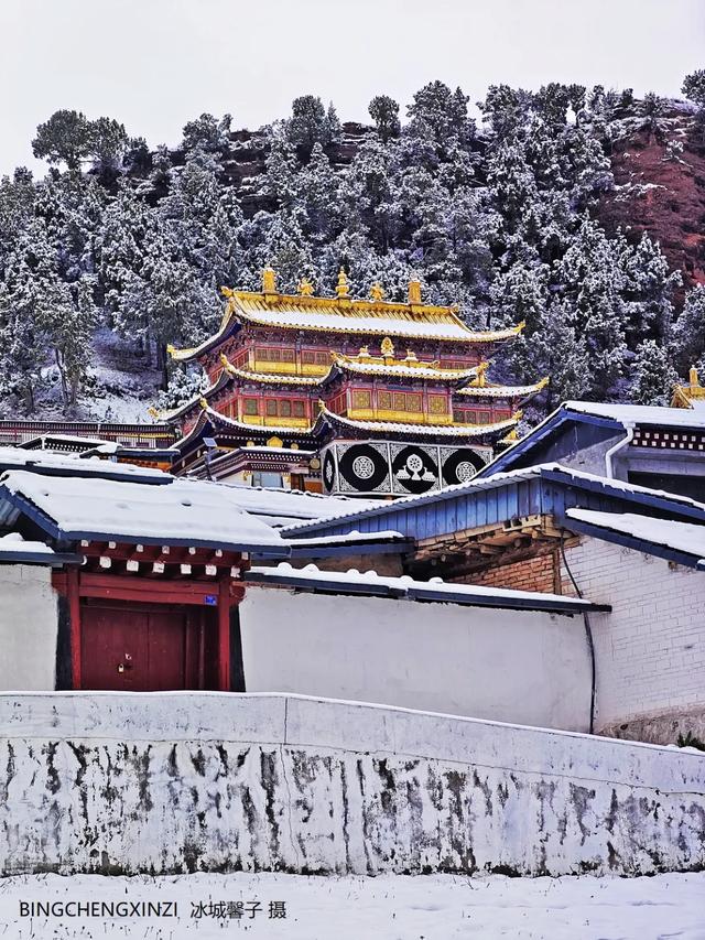 甘南-川西北之旅-6︱六月雪吻郎木寺