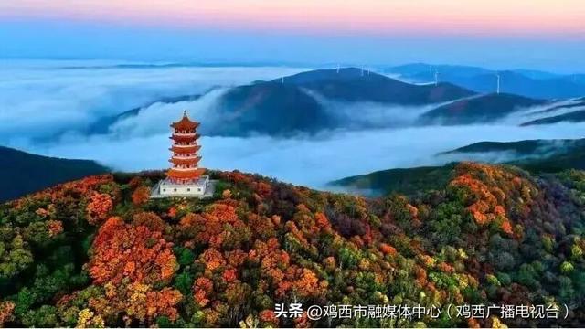 【镜头里的鸡西】鸡西这些“勾魂”美景，美到窒息！你打卡过几个？