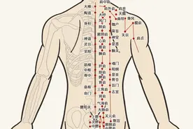 探索神奇：聊聊十二正经和奇经八脉图片