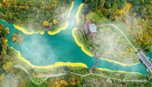 崇州银发康养游线路来啦~带上爸妈解锁！