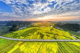 翻开秋的“下一页”，解锁一路绚烂风光图片