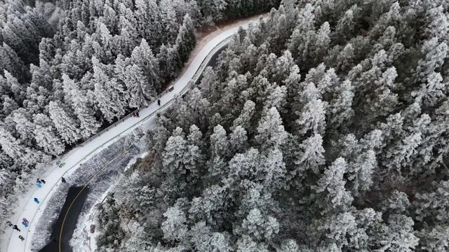 绝美！明月山今日雪景持续放送，速来打卡！