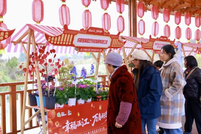 超31万人次！元旦假期，温江文旅消费有点火～