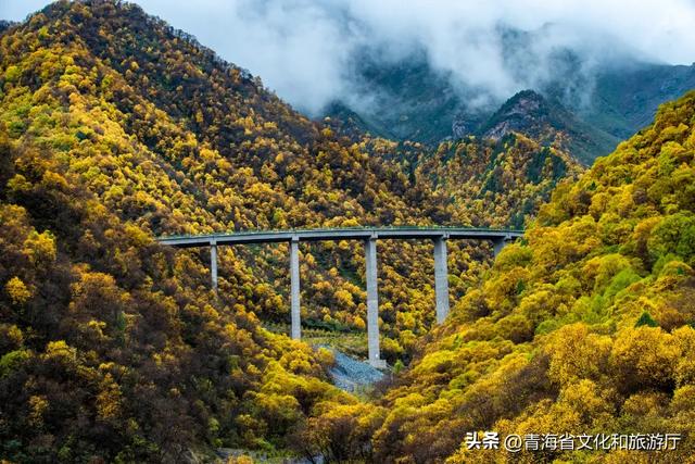 限量供应的青海之秋——票选你眼中最美的秋景！