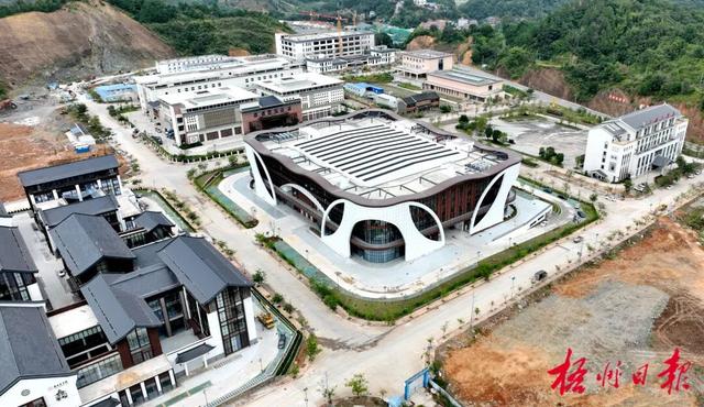 展位初步落实 活动丰富多彩丨六堡茶“六开”活动进入紧张筹备阶段