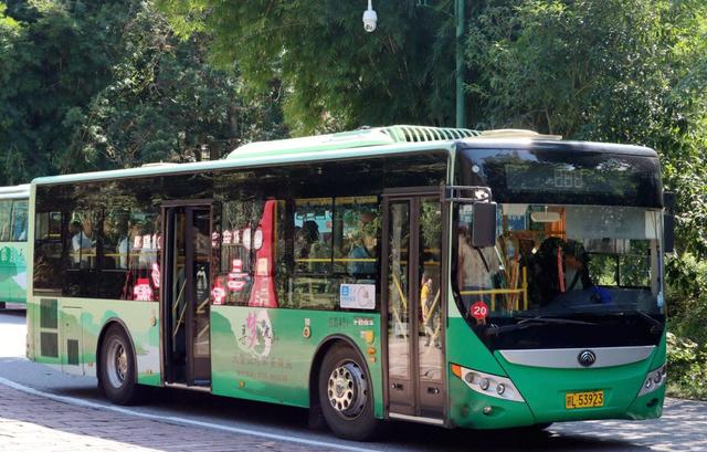 景区免费？别被“免门票”坑了！小心有陷阱！