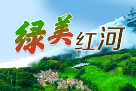 绿美红河丨出门见景 四季有花~蒙自市民畅享绿色福利图片