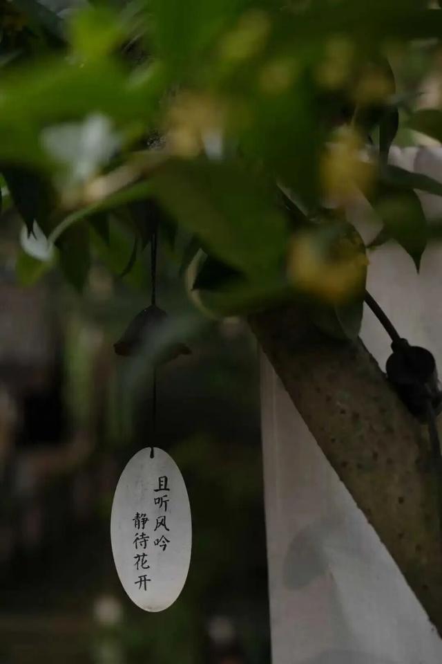 今年秋天，一定要去一次金堂这里！