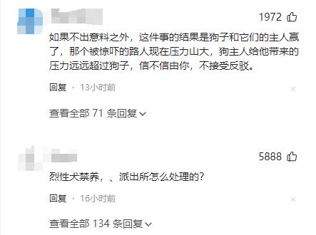 丹阳烈犬扑童后续:受害者全家遭威胁,女子身份不简单,难怪嚣张(图16) 丹阳烈犬扑童后续:受害者全家遭威胁,女子身份不简单,难怪嚣张(图16)