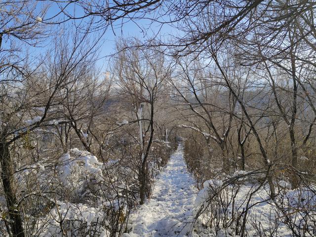 雪后巡山记