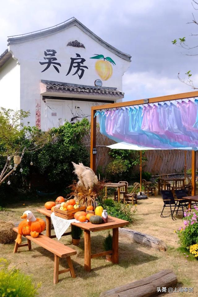奉贤的秋天，才是上海隐藏的“顶流”！