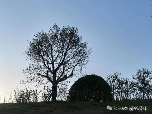 辰溪大酉洞，是不是惊世千年的“中华藏书洞”？