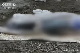 “野鸳鸯”的不归路，2000年沁水县“9·6”特大凶杀案侦破始末图片