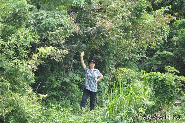 都愿意叫南山，这次是游玩天目湖夜南山
