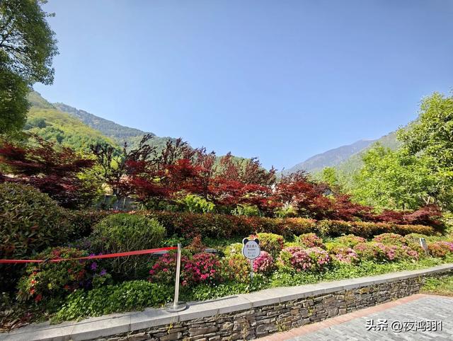 理小路环线今日风景！