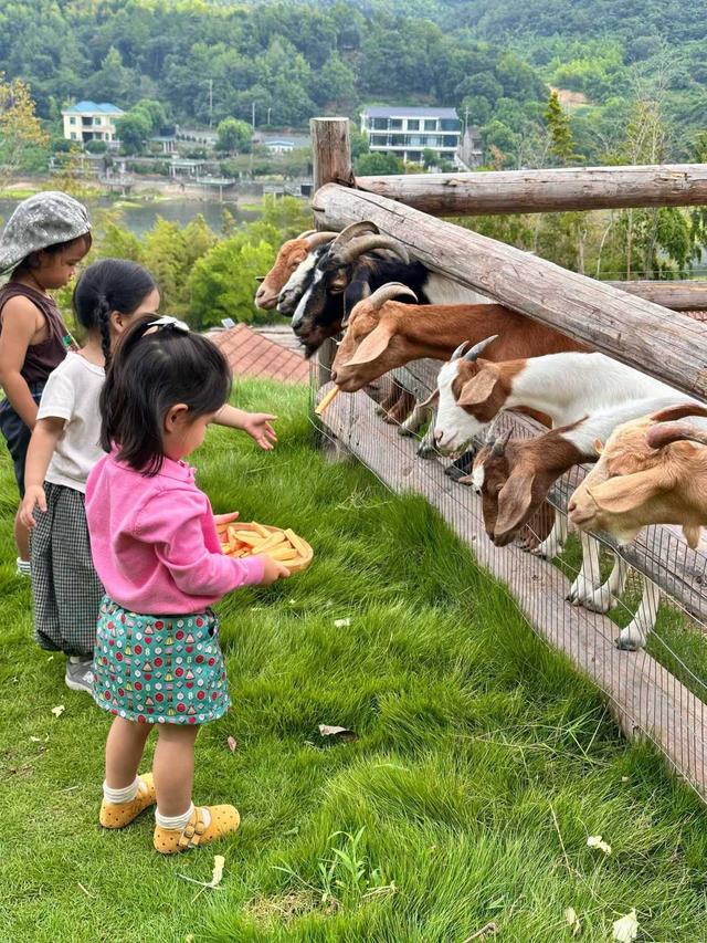 假期未至，宁波营地预定已“火”