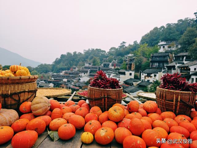 篁岭晒秋正当时！邂逅“最美中国乡村”的限定色彩