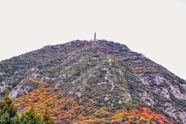 山西太原崛围红叶