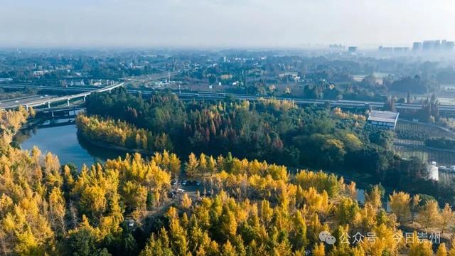 开始刷屏！🤩🤩 崇州罨画池迎来颜值巅峰