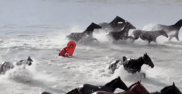 贺娇龙离世仅5天，担心的事发生，新华社悼念为她正名	，遗愿曝光