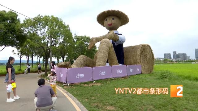 巨型稻草人、睡美人稻海等太出片了！昆明这个宝藏景点越来越美！