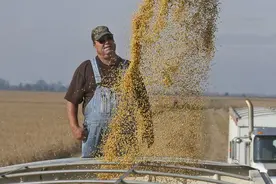 中国从巴西搞来40艘船的货，美国农民“悬着的心”，终究是死了图片