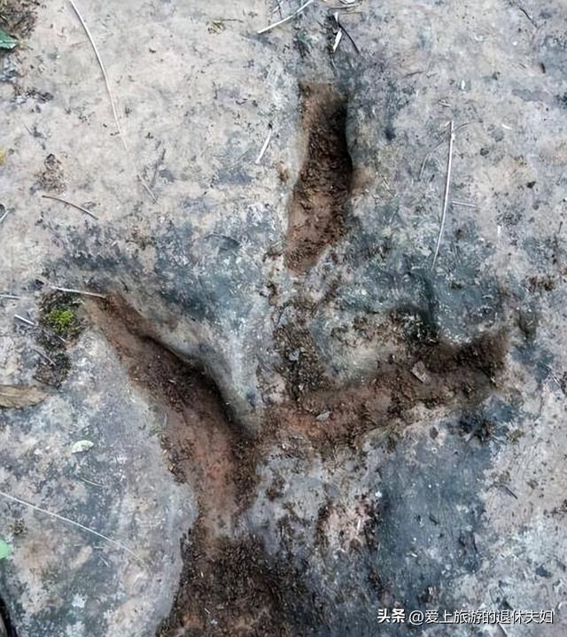 遵义市：被大娄山分割为两个遵义，除了酱香酒，还有很多宝贝呢！